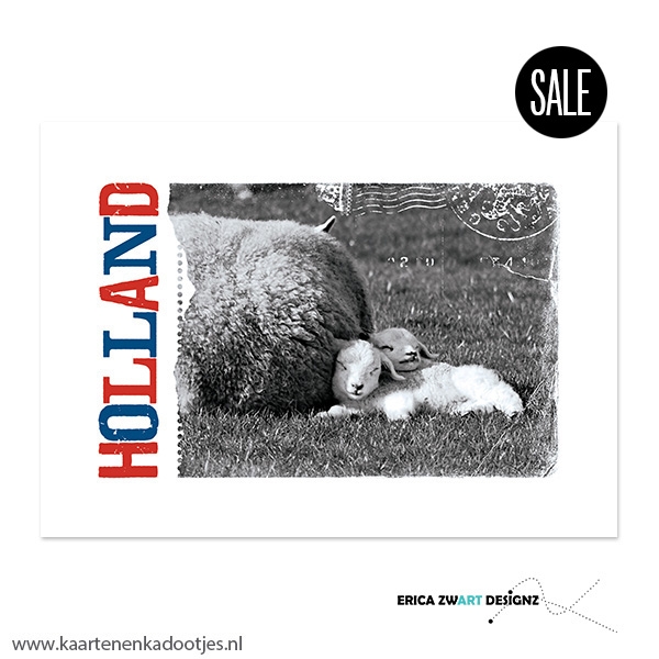 1/10/50x Ansichtkaart lammetjes Holland