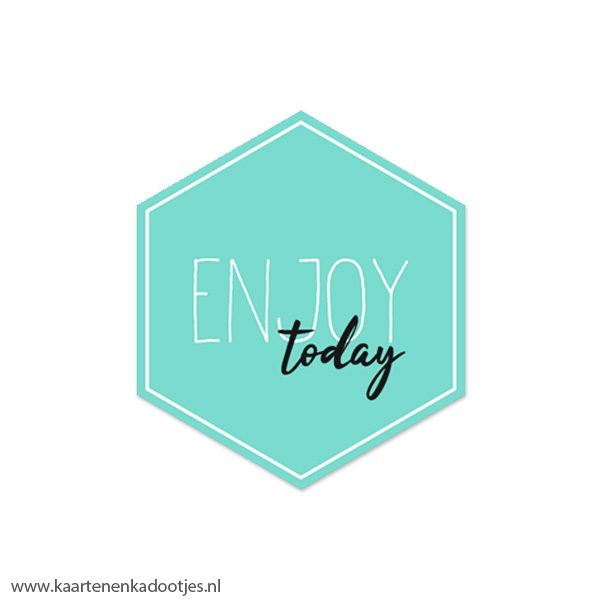 6 Stickers zeshoek 50 mm enjoy today aqua/wit/zwart