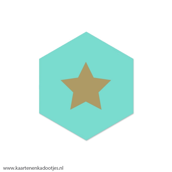 6 Stickers zeshoek 50 mm ster aqua/goudfolie