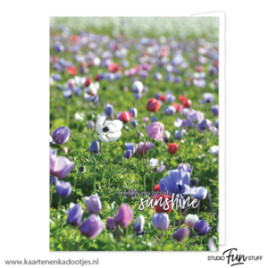 Kaart sending you lots of sunshine - bollenveld
