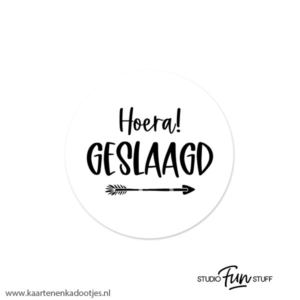6 Stickers rond 45 mm hoera geslaagd pijl