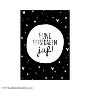 Kadokaartje rechthoek 74x105 mm fijne feestdagen juf