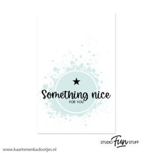 Kadokaartje rechthoek 55x85 mm something nice for you mint