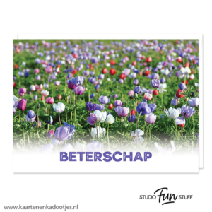 Kaart beterschap bollenveld