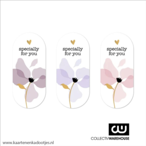 3 Stickers ovaal 35x80 mm specially for you goudfolie assorti
