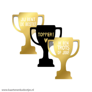3 Stickers beker 43x56 mm kampioensbeker goudfolie assorti