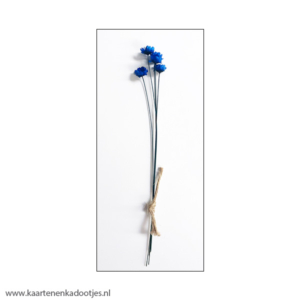 5 Bundels droogbloemetjes glixia korenblauw